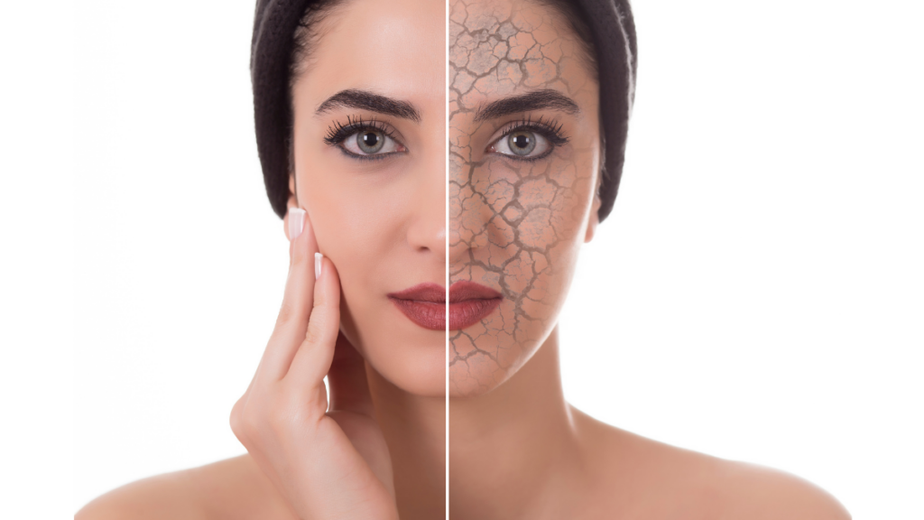 An image of a woman with young skin and older skin