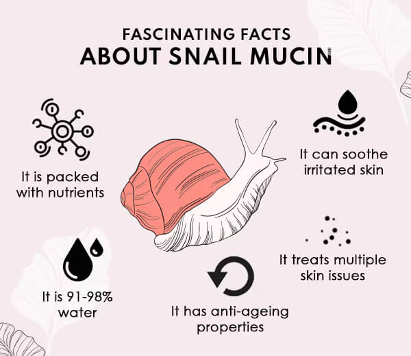An infographic explaining the benefits of snail mucin, a prime ingredient used in snail facials